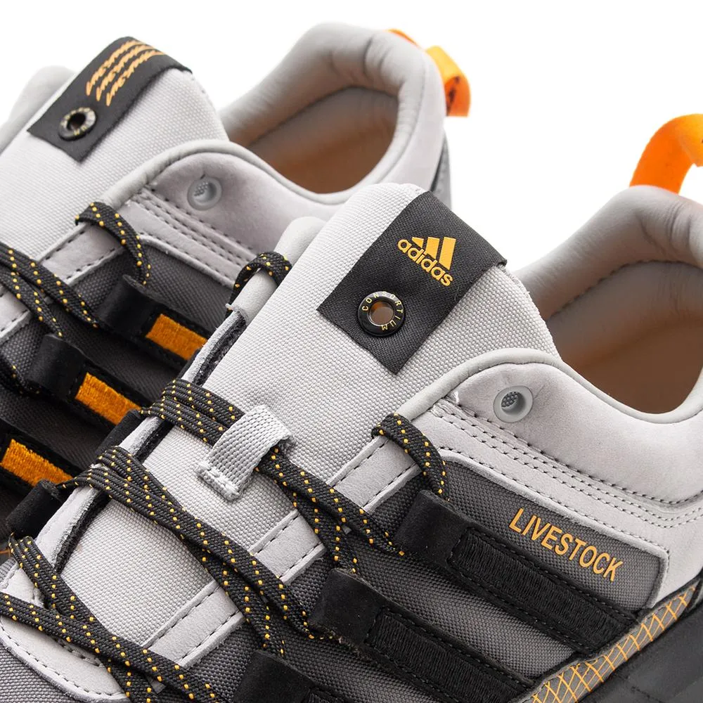 adidas Consortium x Livestock Terrex Skychaser / Stone