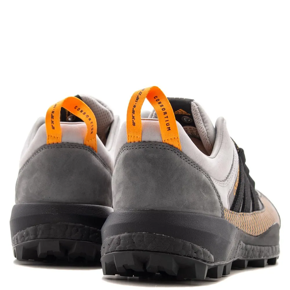 adidas Consortium x Livestock Terrex Skychaser / Stone