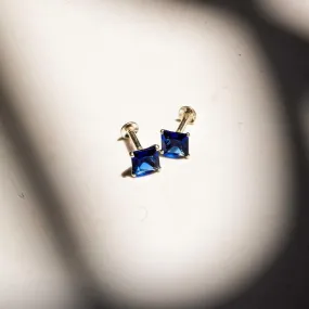 Elegant Blue Silver Tops