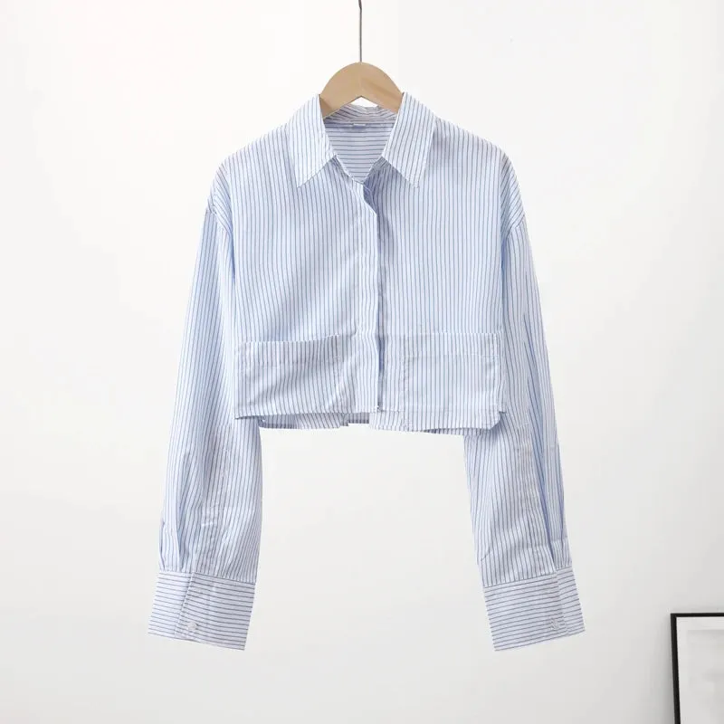 Elegant Long Sleeve Crop Blouse