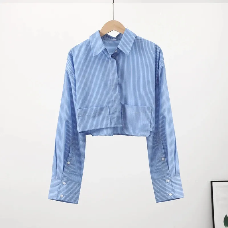 Elegant Long Sleeve Crop Blouse