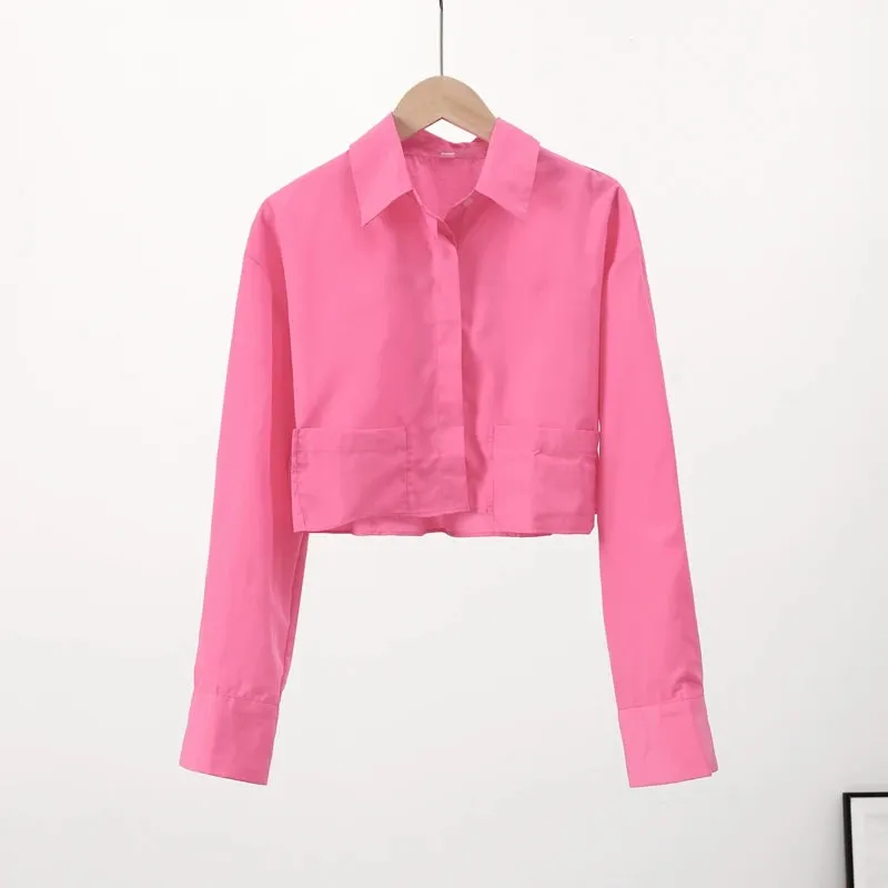 Elegant Long Sleeve Crop Blouse