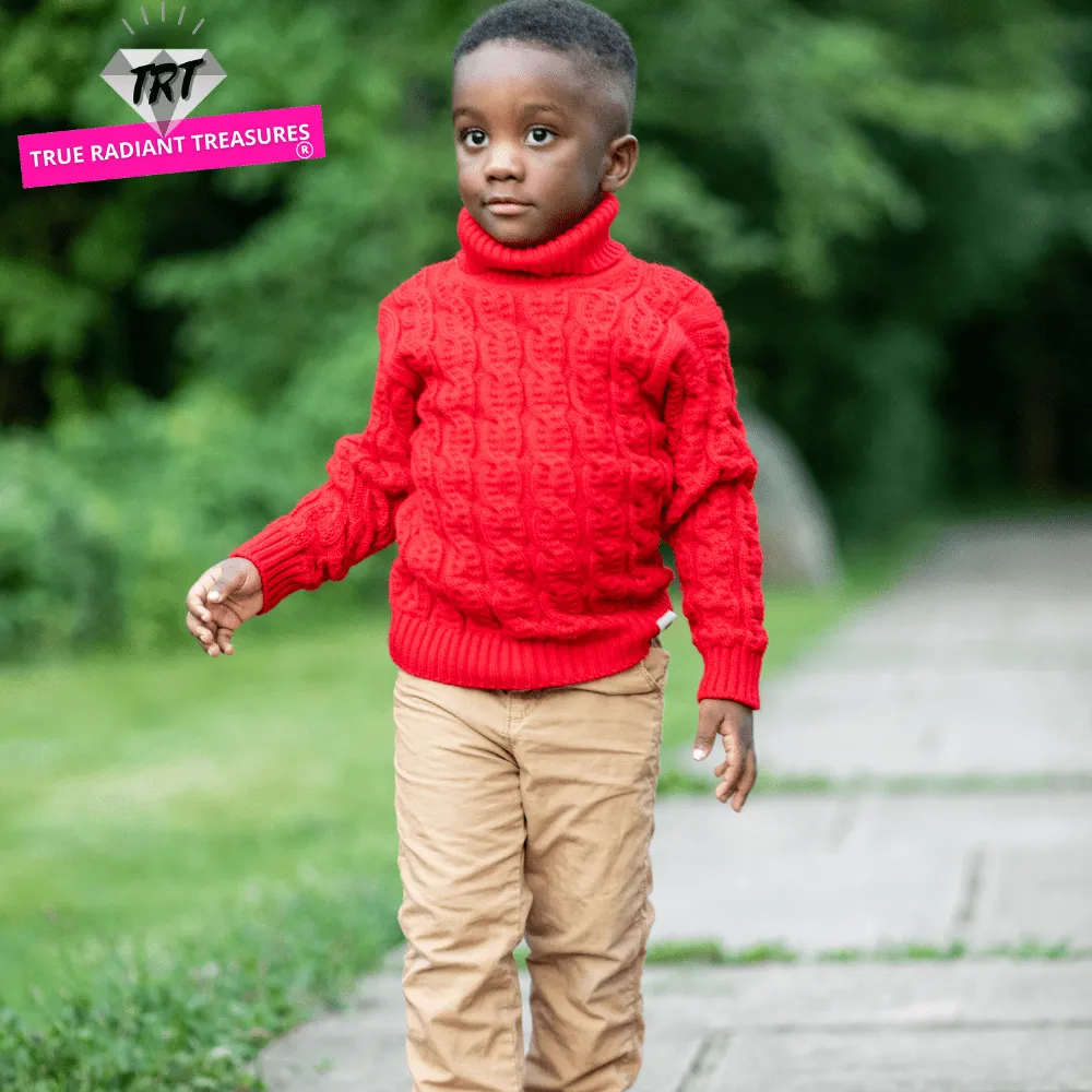 Kids Unisex Turtleneck Sweater