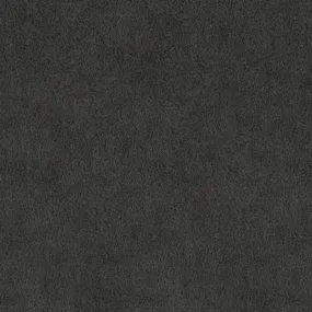 Luxe Cuddle® - Seal Ash Minky Yardage