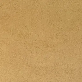 Luxe Cuddle® - Seal Sand Minky Yardage