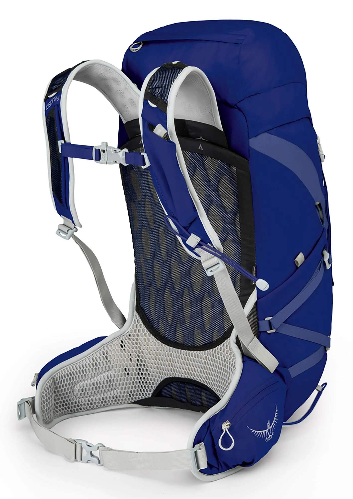 Osprey Packs Tempest 30 Women's Hiking Backpack, Iris Blue, Wxs/S, X-Small/Small